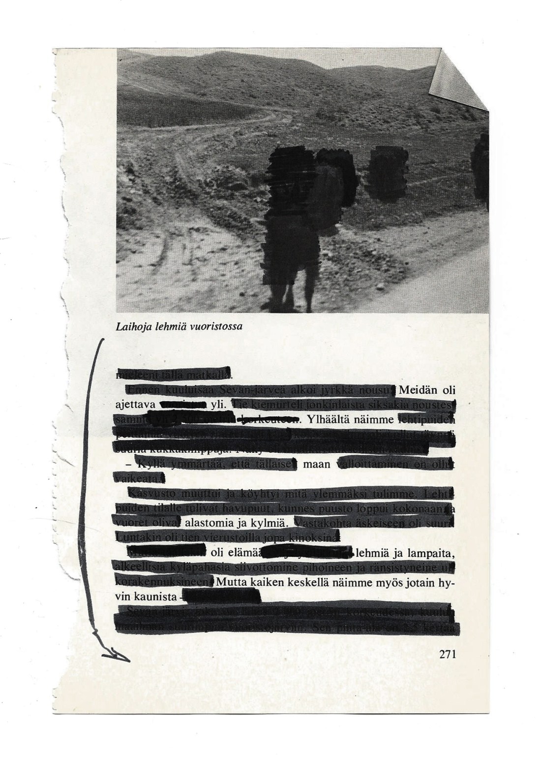 LAIHOJA LEHMIÄ VUORISTOSSA - SKINNY COWS IN THE MOUNTAINS