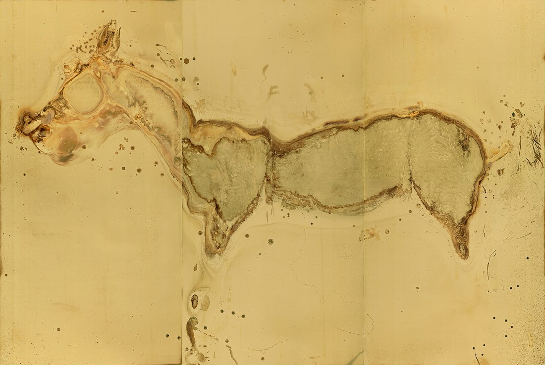 THE ONLY HORSE I EVER RODE Messinki, kuolleen eläimen jäänteet Brass, original substances of a dead animal 200 x 300cm 2015 (original photo Jussi Tiainen)