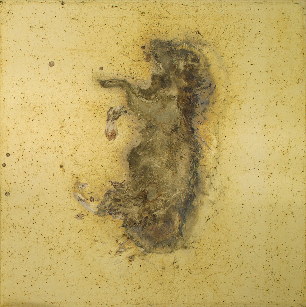 TO WHOM DO YOU BELONG? Messinki, kuolleen eläimen jäänteet Brass, original substances of a dead animal 100 x 100cm 2014 (original photo Jussi Tiainen)