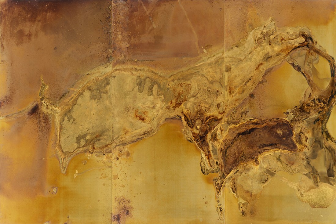 GIVING BIRTH AND DYING STILL Messinki, kuolleen eläimen jäänteet Brass, original substances of a dead animal 200 x 300cm 2016