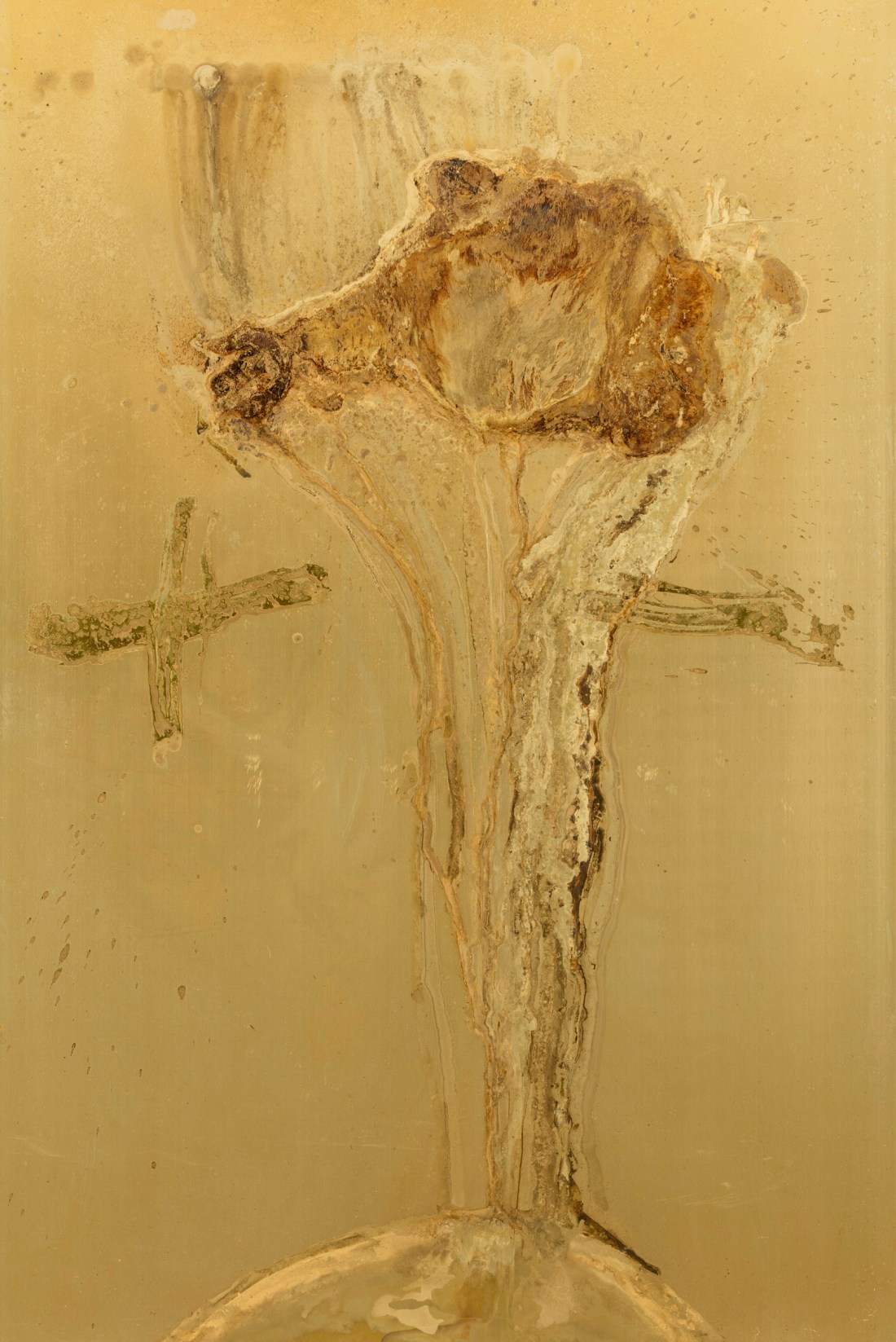 PLUS, MINUS Messinki, kuolleen eläimen jäänteet Brass, original substances of a dead animal 150 x 100cm 2016